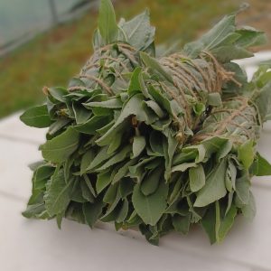 Bâton de sauge blanche