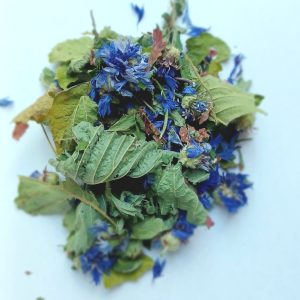 Les fleurs du mal