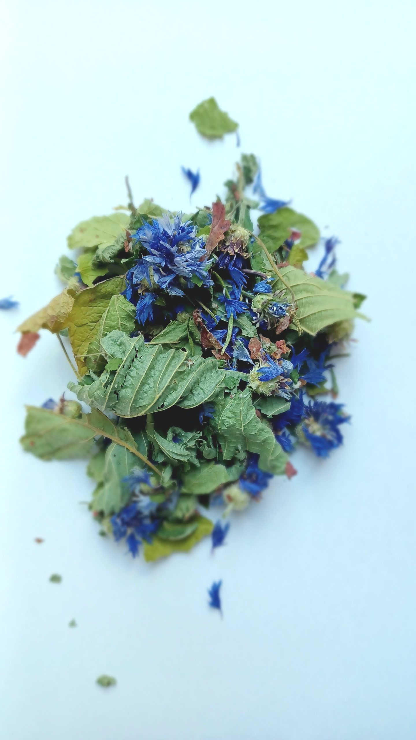Les fleurs du mal