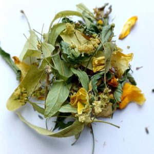 Songe d’une nuit d’été
