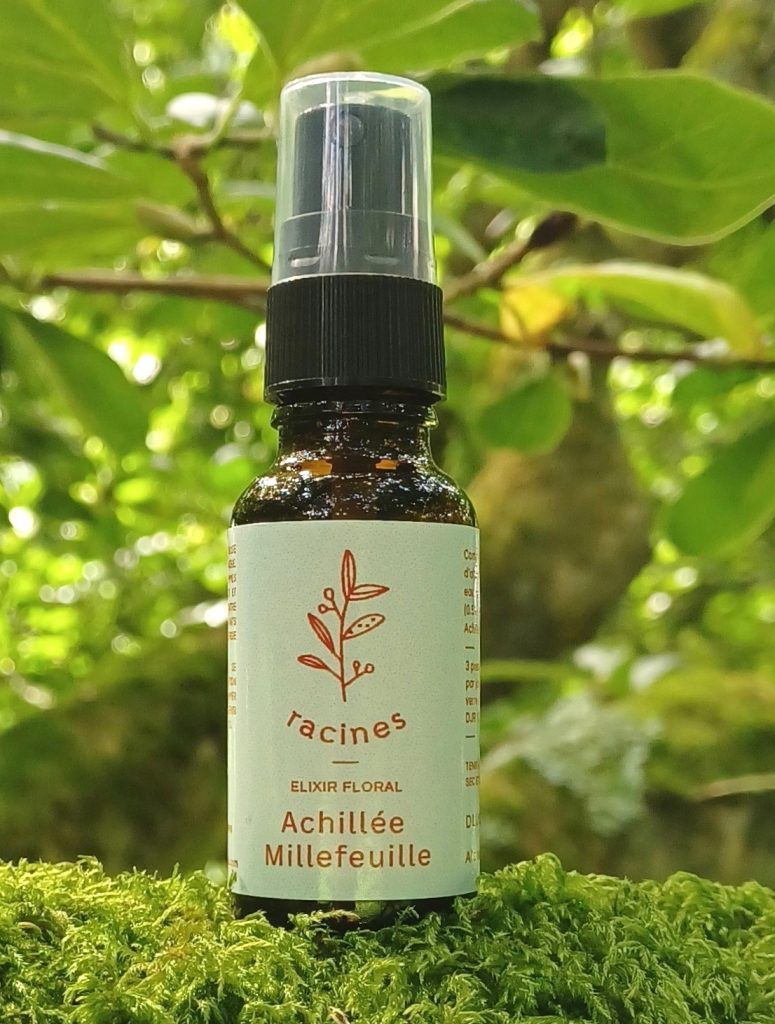 achillée 1 ab