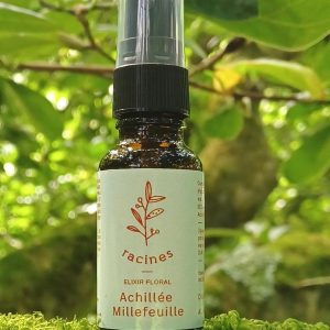 Achillée Millefeuille