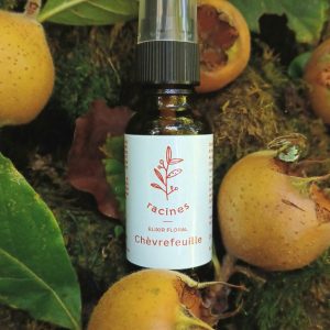 Chèvrefeuille – Honeysuckle
