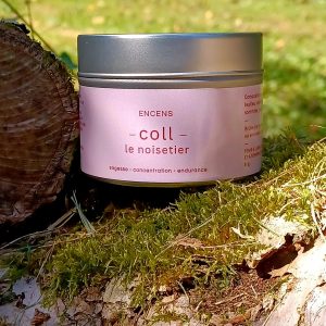 Coll, le noisetier