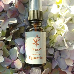 Eglantier – Wild Rose