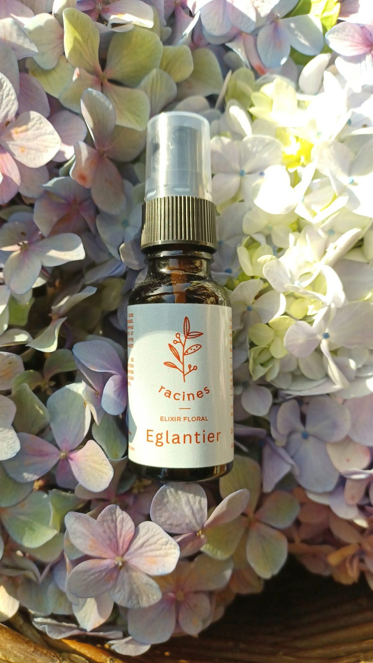 Eglantier – Wild Rose