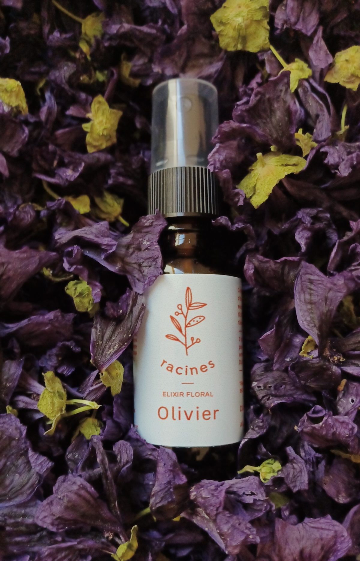 Olivier – Olive