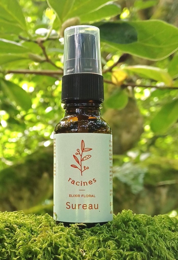 sureau