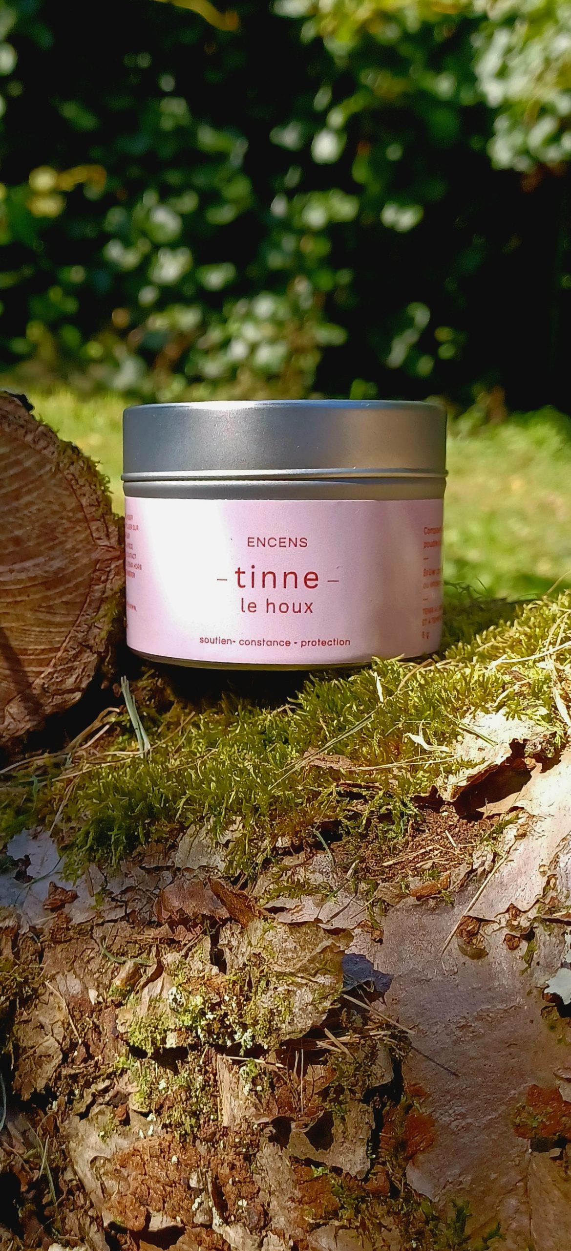 Tinne, le houx