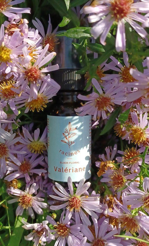 valeriane